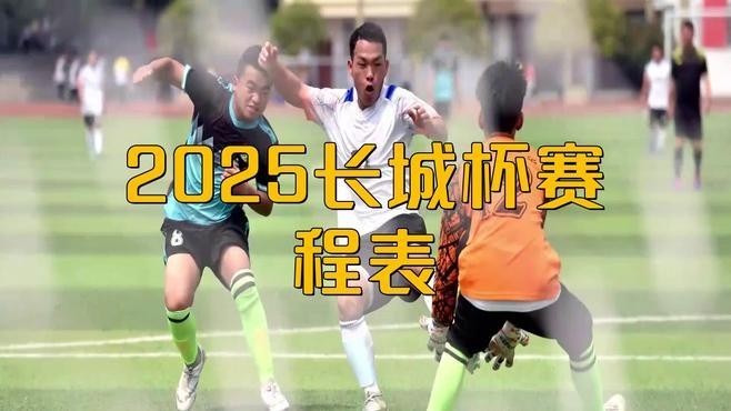 2025長城杯視頻