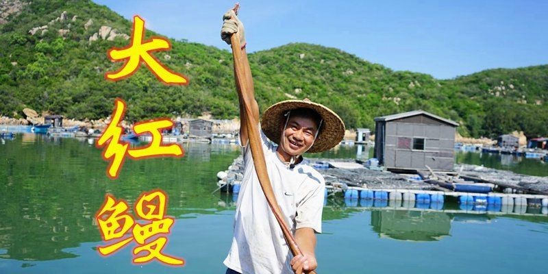 紅鰻魚一斤多少錢
