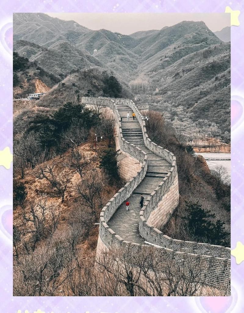 水長城寵物多少錢一只2023年最新價目表