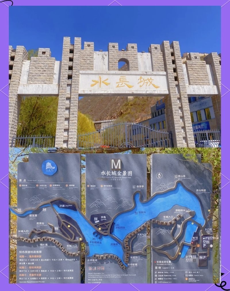 水長城寵物多少錢一只2023年最新價目表