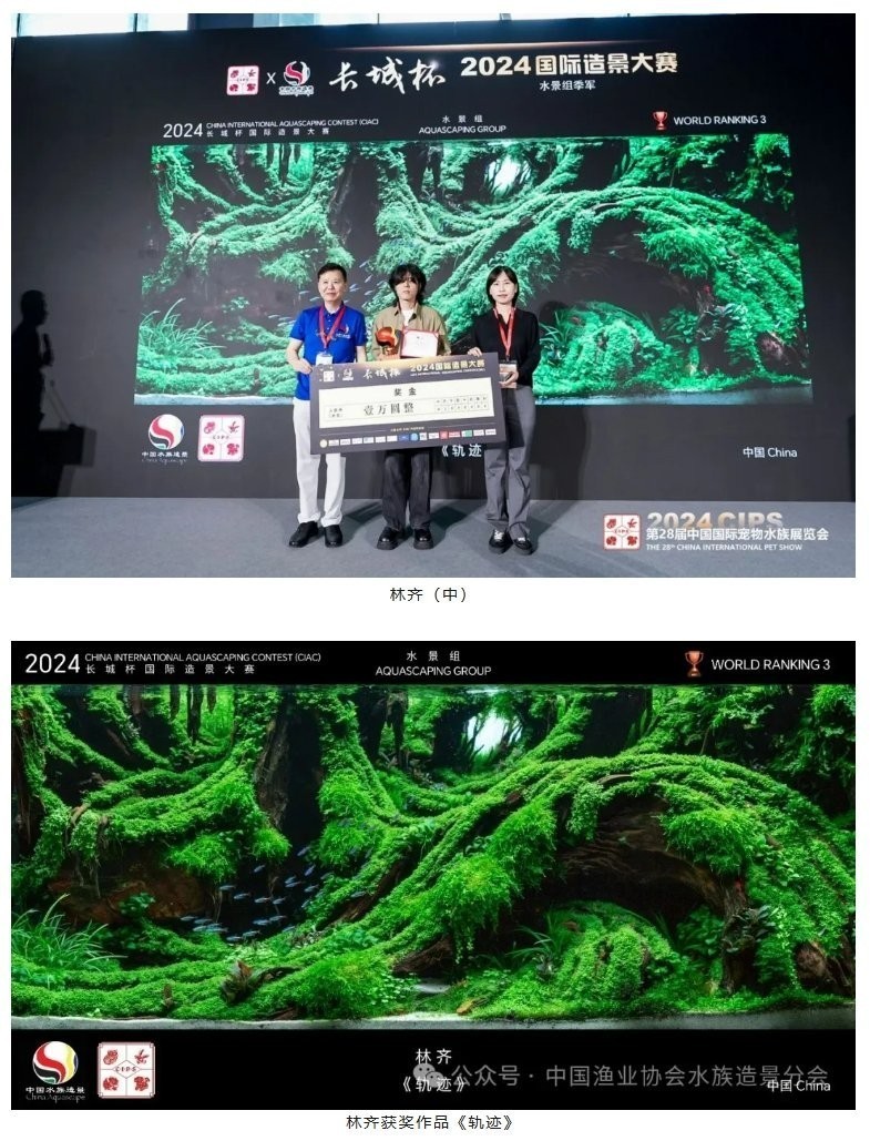 長城杯水族賽有哪些歷史獲獎作品