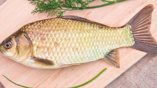 鯽魚10元一條貴么