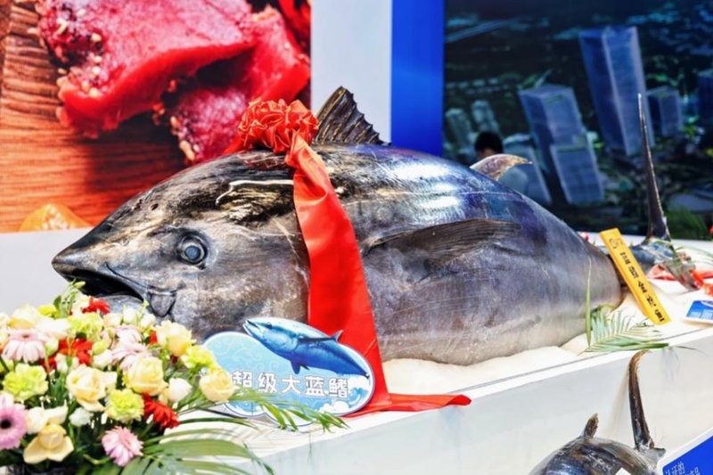 2025年哪個水族展規(guī)模最大？