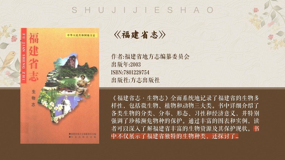 狗鯊和貓鯊哪個貴