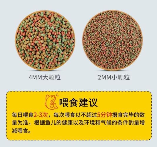 有哪些品牌的增色飼料推薦？