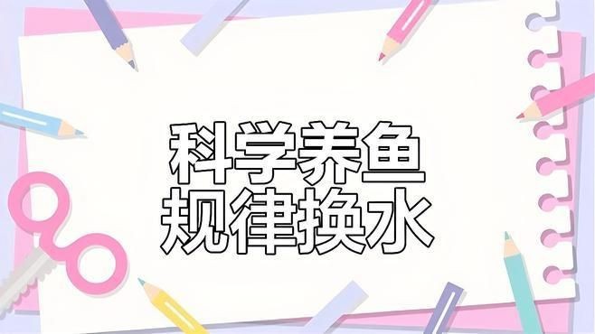 蝴蝶魚多久換一次水