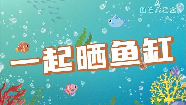 好美魚缸：\"好美魚缸設計與功能強調(diào)其美觀、實用和生態(tài)友好