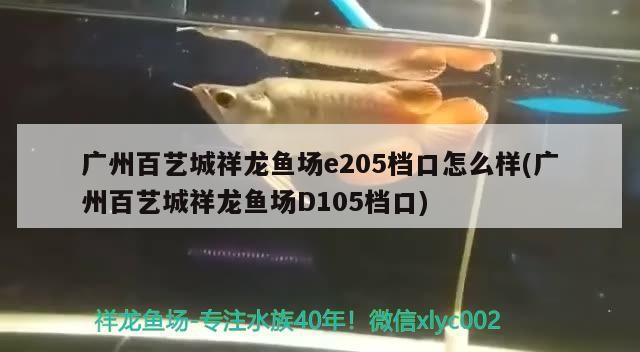行唐縣寒玉觀賞魚店