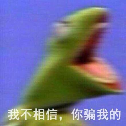 鯊魚呼吸是腮還是肺
