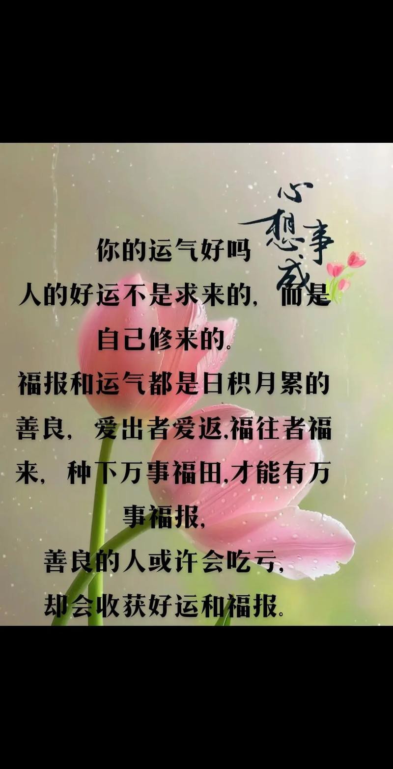 運氣最旺的10張圖片