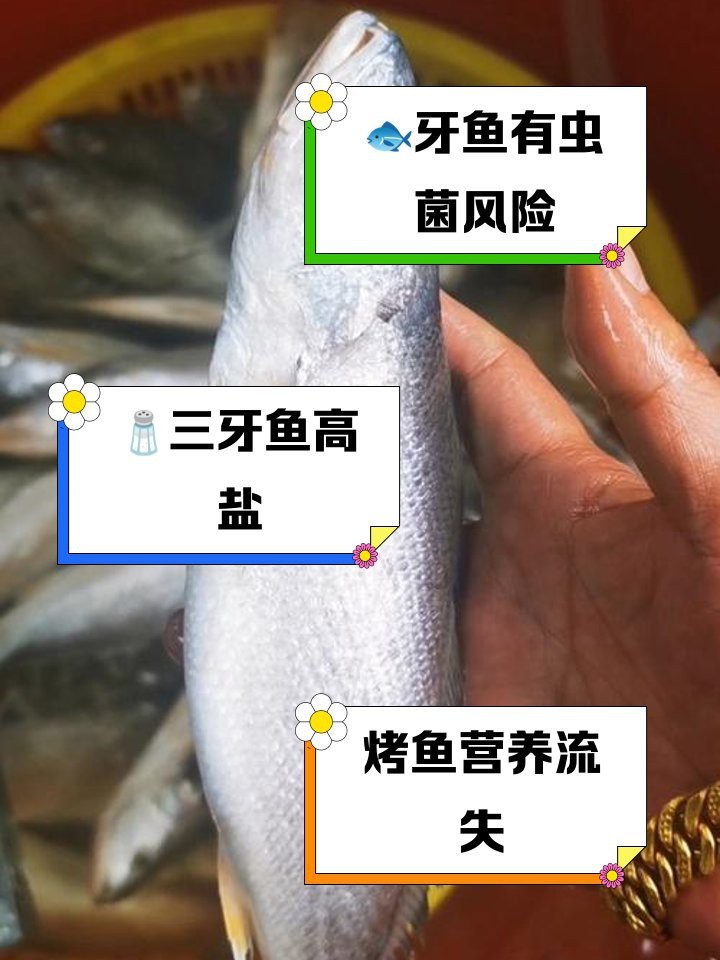 三間魚(yú)為何盡量少吃