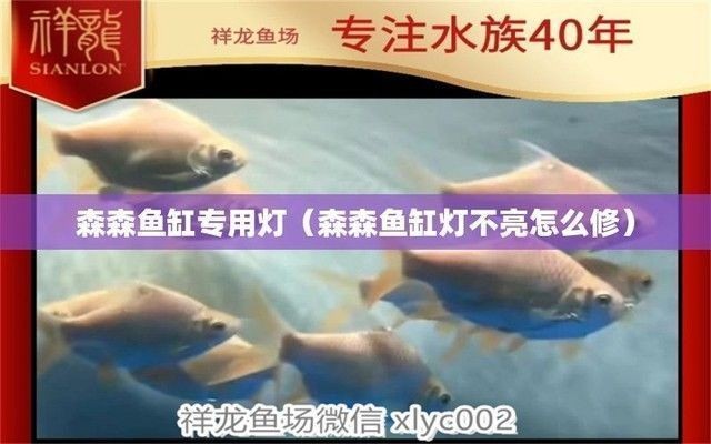 森森魚缸燈怎么樣拆開：森森魚缸燈拆卸教程
