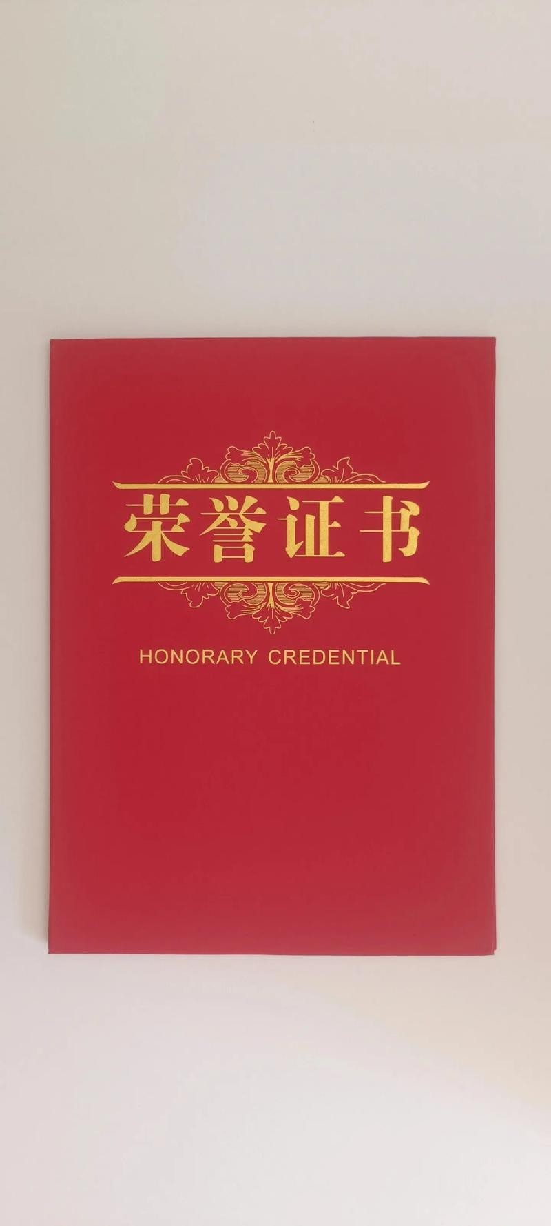 中國長城杯書畫比賽