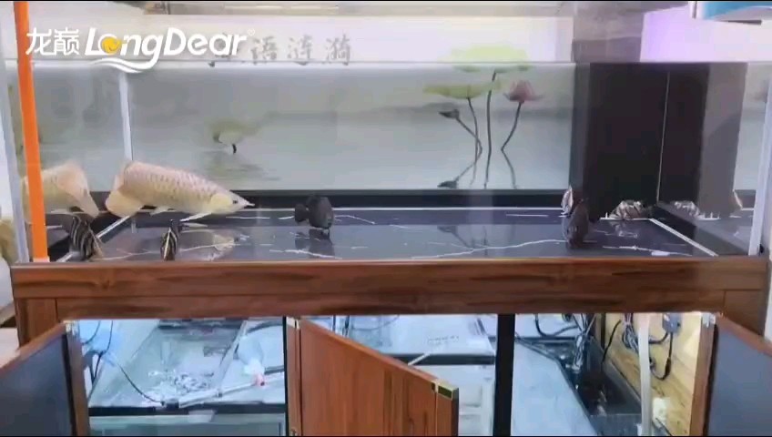 轉發837
