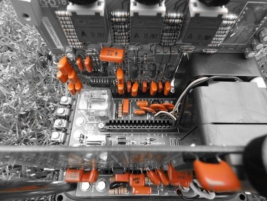 金龍魚鉆石卡哪些東西：金龍魚鉆石卡會員等級劃分,金龍魚鉆石卡遺失掛失流程