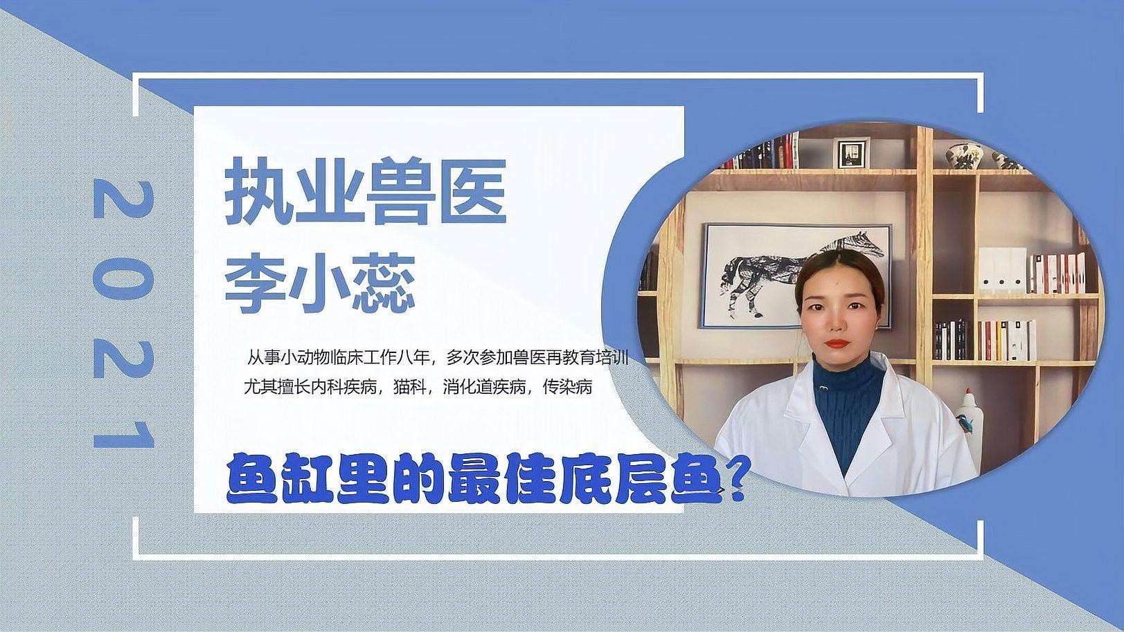 《龍魚養(yǎng)殖與鑒賞2004》有哪些版本？