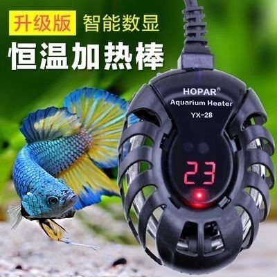 海霸魚缸怎么樣：海霸魚缸優缺點分析 海霸魚缸怎么樣：海霸魚缸優缺點分析 魚缸百科 第5張