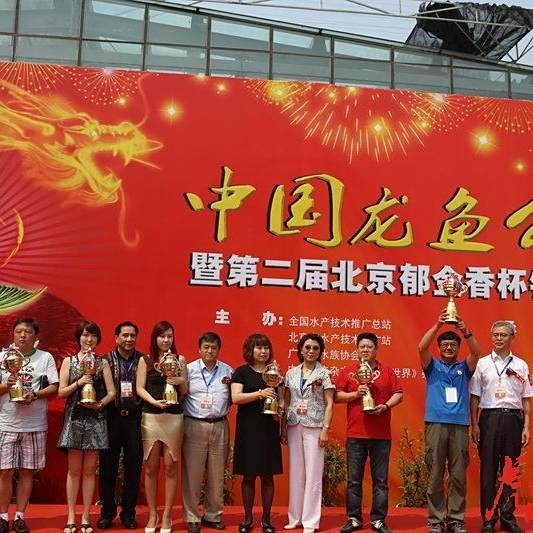 龍魚比賽規(guī)則