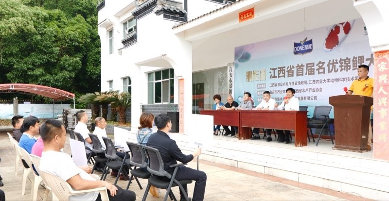 錦鯉文化類賽事有哪些級別？