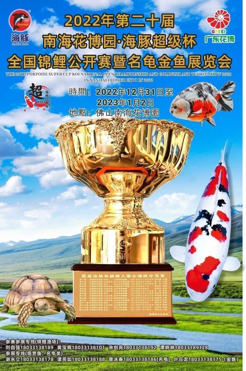錦鯉文化類賽事有哪些級別？