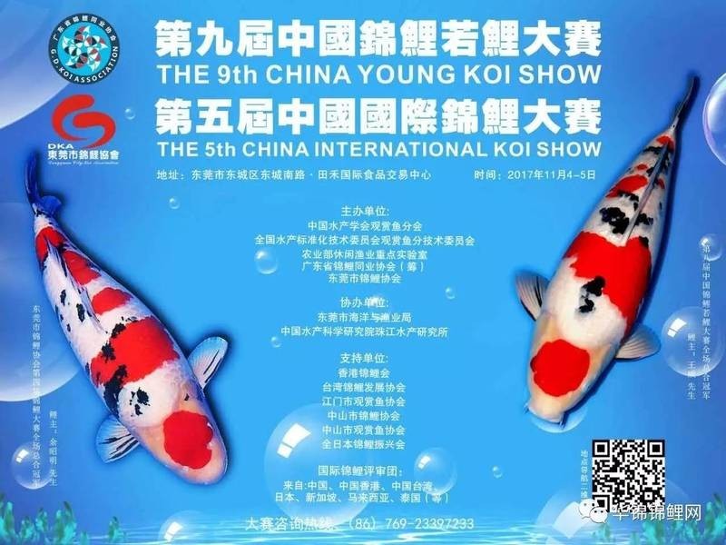 錦鯉文化類賽事有哪些級別？