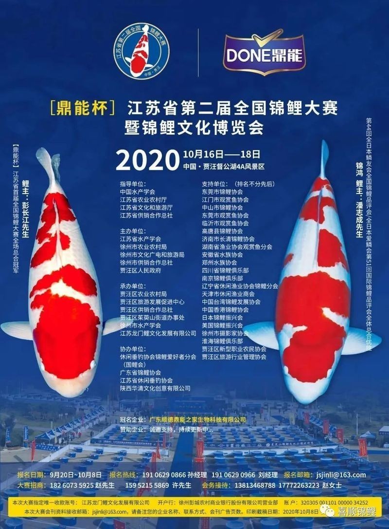 錦鯉文化類賽事有哪些級別？