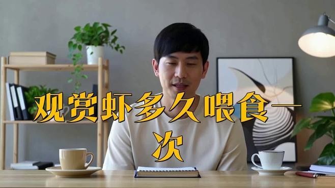 觀賞蝦怎么喂食