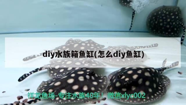 烏拉特前旗烏拉山陽陽水景花卉店