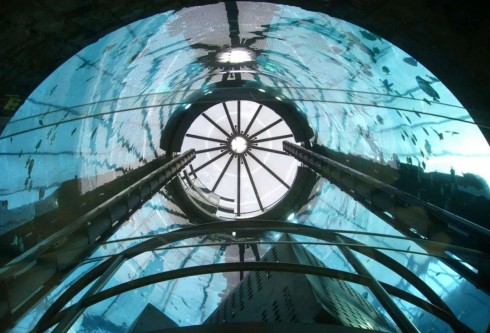 世界十大土豪魚缸排行榜