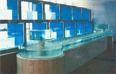 廣州輝煌水族魚缸設計的藝術魚缸設計的基本原則和技巧：廣州水族市場探秘