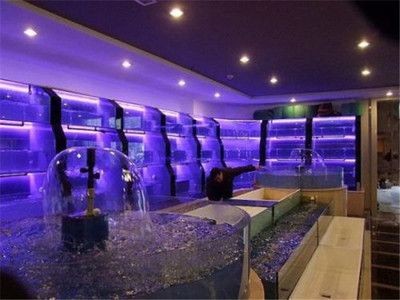 廣州輝煌水族魚缸設計的藝術魚缸設計的基本原則和技巧：廣州水族市場探秘