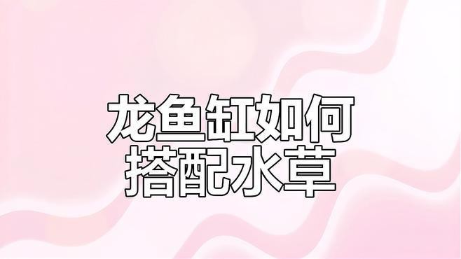 龍魚缸中適合種植哪些水草？