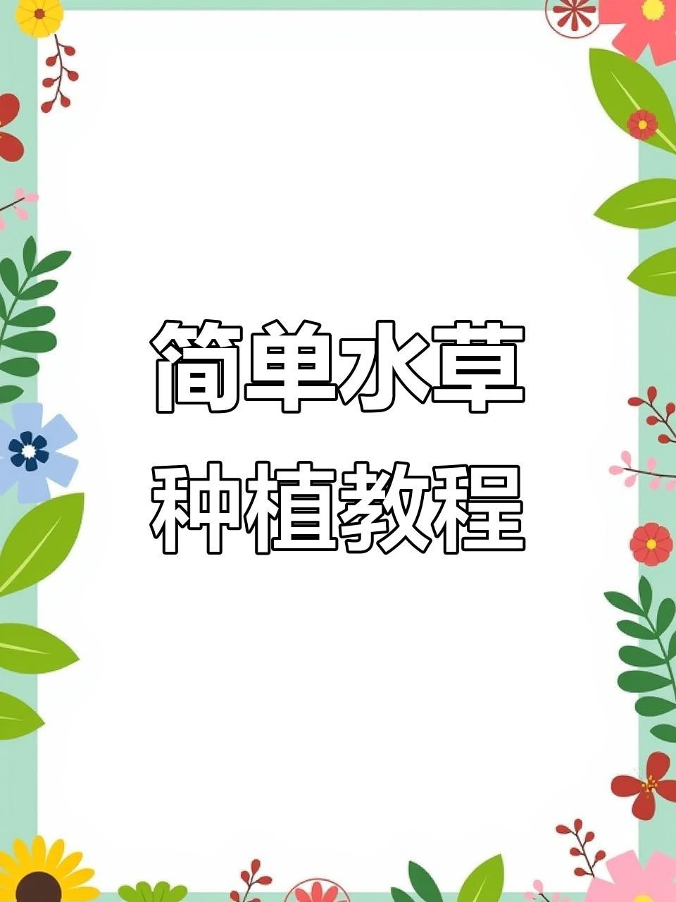 龍魚缸中適合種植哪些水草？