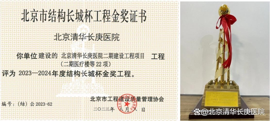 如何查詢具體項目的長城杯獲獎情況？