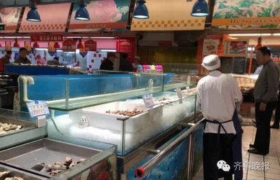 濟南龍魚市場（濟南最大的龍魚市場是哪個市）