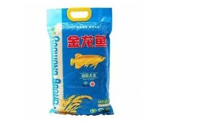 金龍魚(yú)糞便異常怎么辦：金龍魚(yú)的糞便顏色和形態(tài)可以反映出其健康狀況