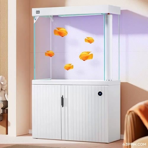 壹遇龍魚水族有官方網站嗎？