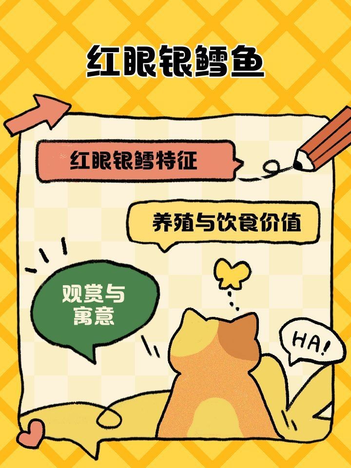 紅眼觀賞魚全部品種