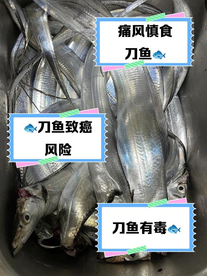 刀魚為什么不建議吃