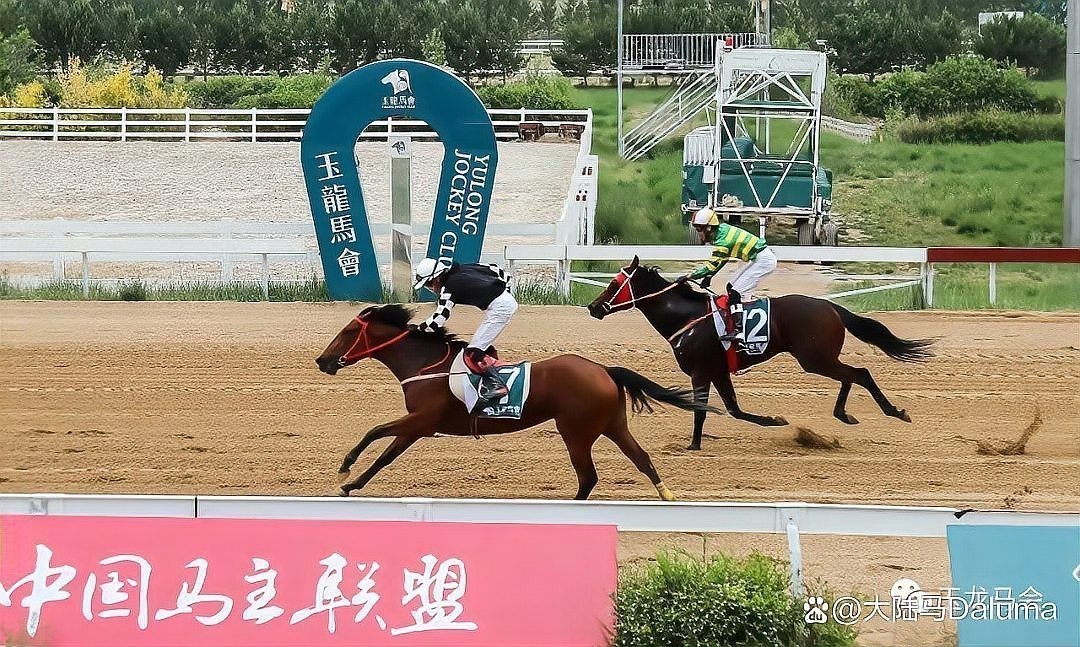 紅龍領(lǐng)域還有哪些重要賽事？