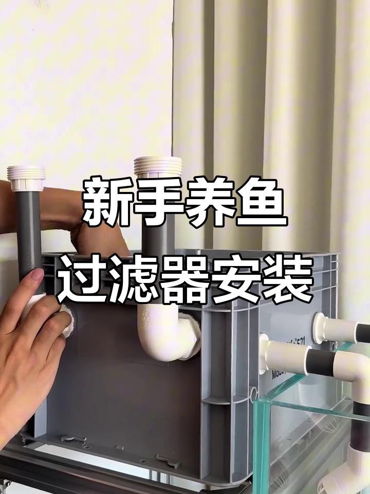 龍魚缸的過濾系統如何設置？