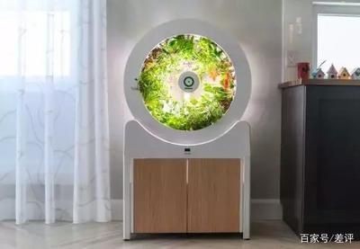 國外魚缸設(shè)計趨勢：《設(shè)計魚缸設(shè)計魚缸設(shè)計哲學(xué)森森魚缸設(shè)計哲學(xué)森森魚缸 國外魚缸設(shè)計趨勢：《設(shè)計魚缸設(shè)計魚缸設(shè)計哲學(xué)森森魚缸設(shè)計哲學(xué)森森魚缸 魚缸百科 第3張