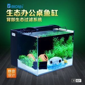 魚缸出水設計方案：壁掛式魚缸布局優化