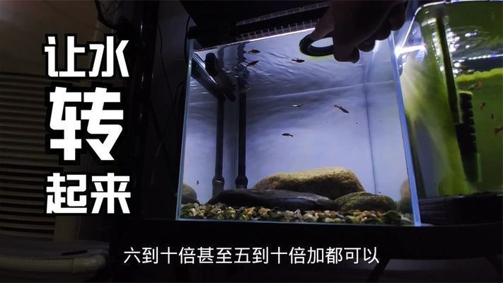 魚缸出水設計方案：壁掛式魚缸布局優化