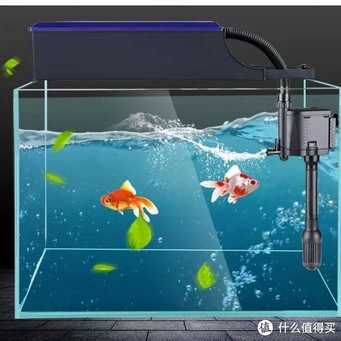 魚(yú)缸過(guò)濾器三合一怎么安裝（魚(yú)缸過(guò)濾器三合一怎么安裝,安裝過(guò)濾器本體）