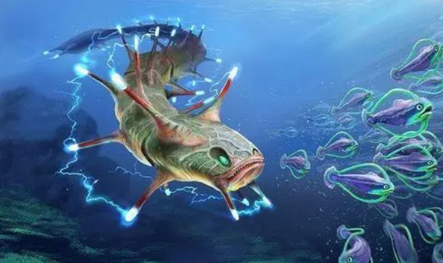 電鰻能電死大白鯊嗎