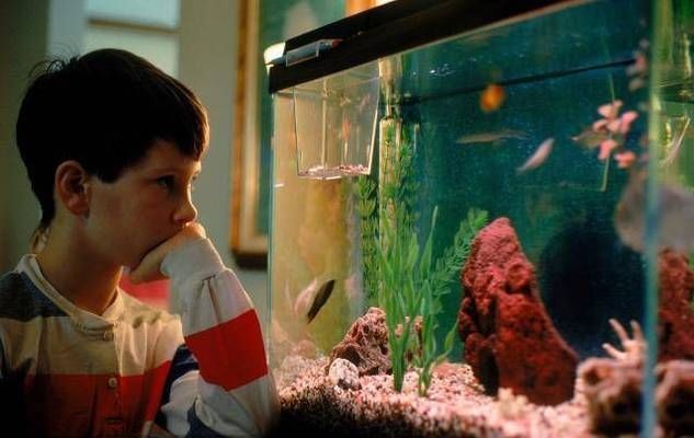 佳寶魚缸漏水如何修補：佳寶魚缸漏水如何修補魚缸玻璃膠選擇指南