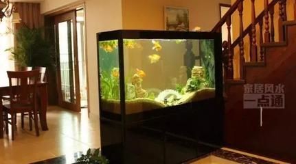 紅鯉魚魚缸放什么位置好（紅鯉魚魚缸擺放在家中的旺財方案） 紅鯉魚魚缸放什么位置好（紅鯉魚魚缸擺放在家中的旺財方案） 魚缸百科 第3張