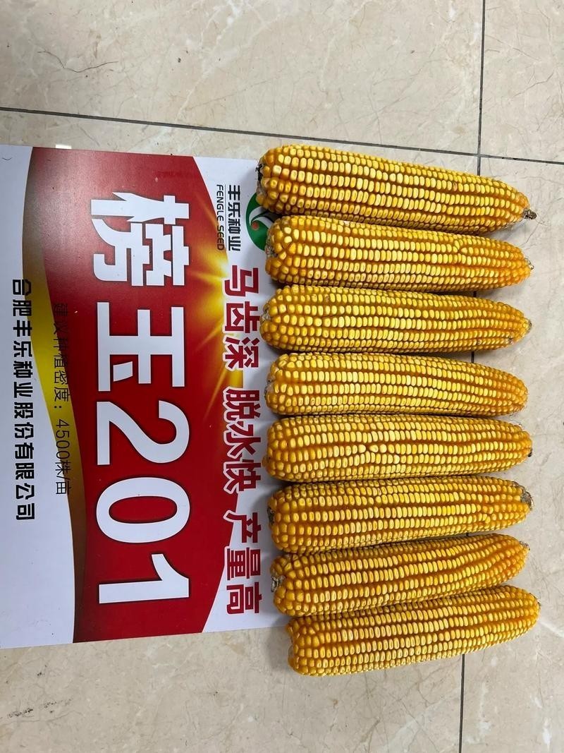 長城201w