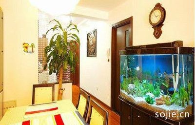 魚缸擺放與家居風水關系：魚缸擺放與家居風水之間的關系